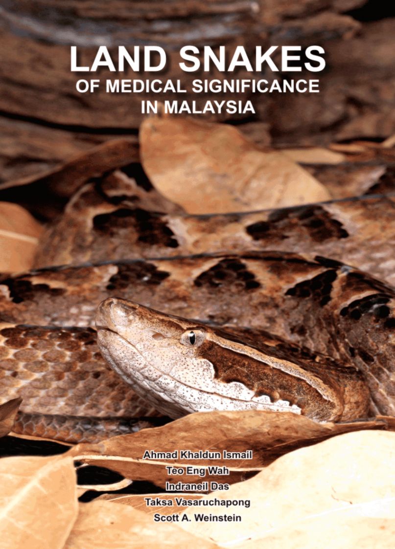 PDF Land Snakes of Medical Significance in Malaysia