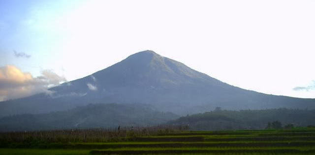 Info Terbaru Status Tutup Buka Gunung Cikuray Info Terbaru Status Tutup Buka Gunung Cikuray