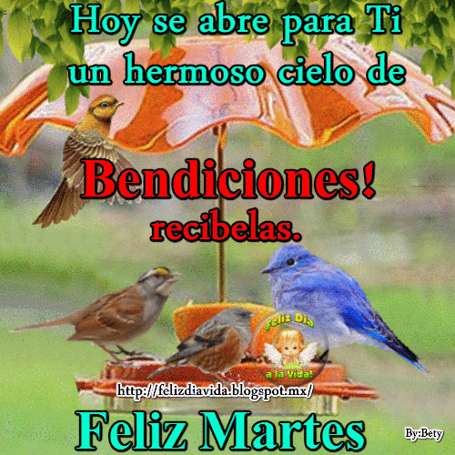 FELIZ DÍA A LA VIDA: Hermoso martes de Bendiciones