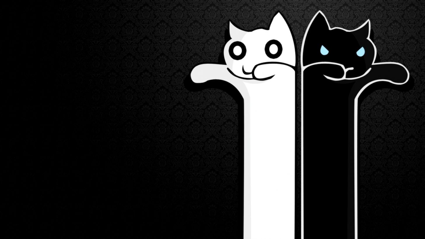 Long Cats Black And White Wallpaper All Hd Wallpapers Gallery