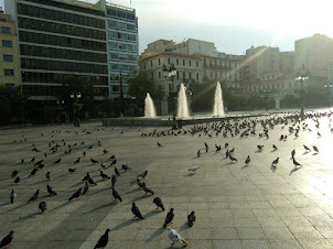 Pigeons in the park  near the Municipal building of Athens.