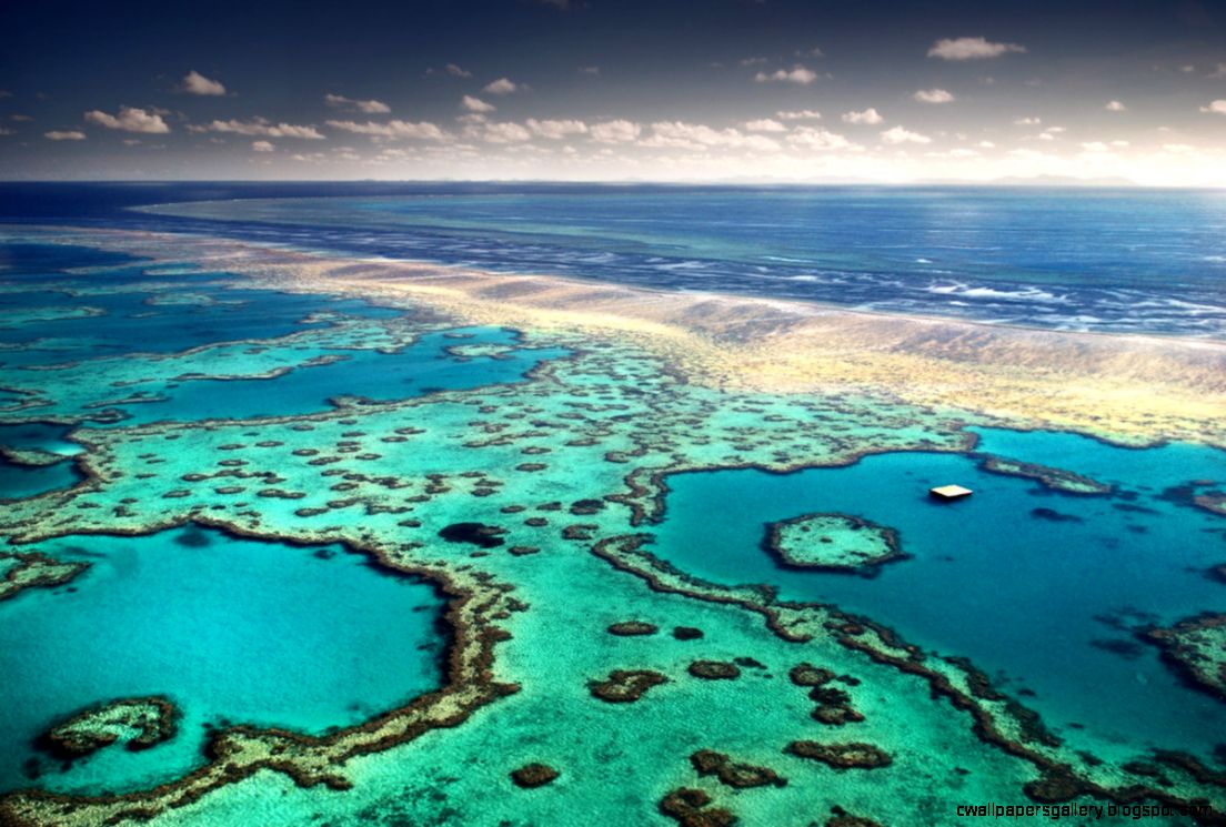 10 Most Beautiful C Reefs World