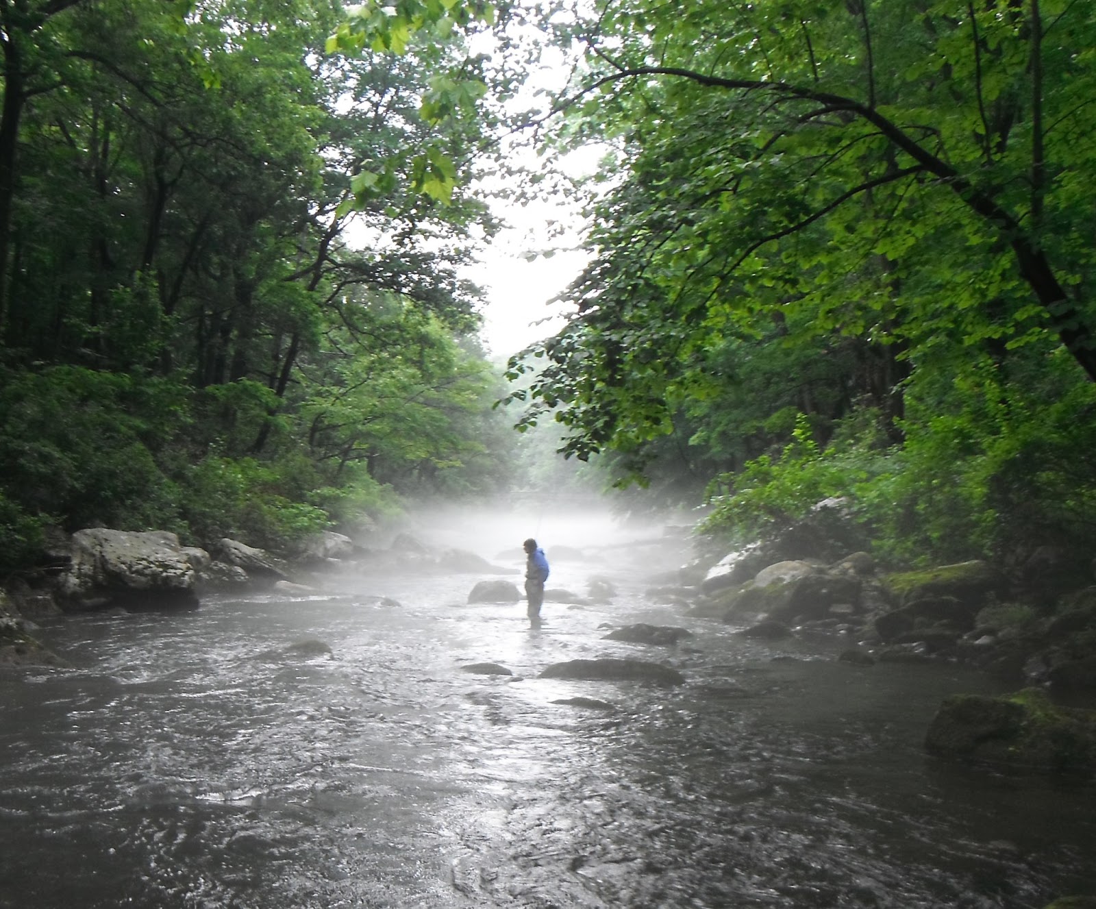 Western Maryland Fly Fishing Fishing Report for Western Maryland