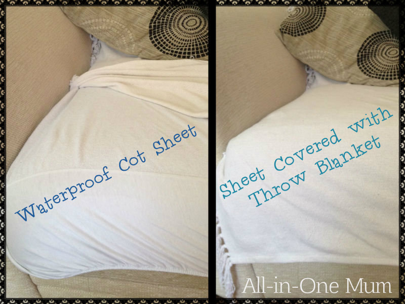 Potty Training Couch Protection