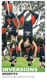 aerial yoga teacher training