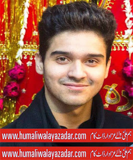 ali shanawar nohay 2013 mp3 download ali shanawar nohay 2013 mp3 download