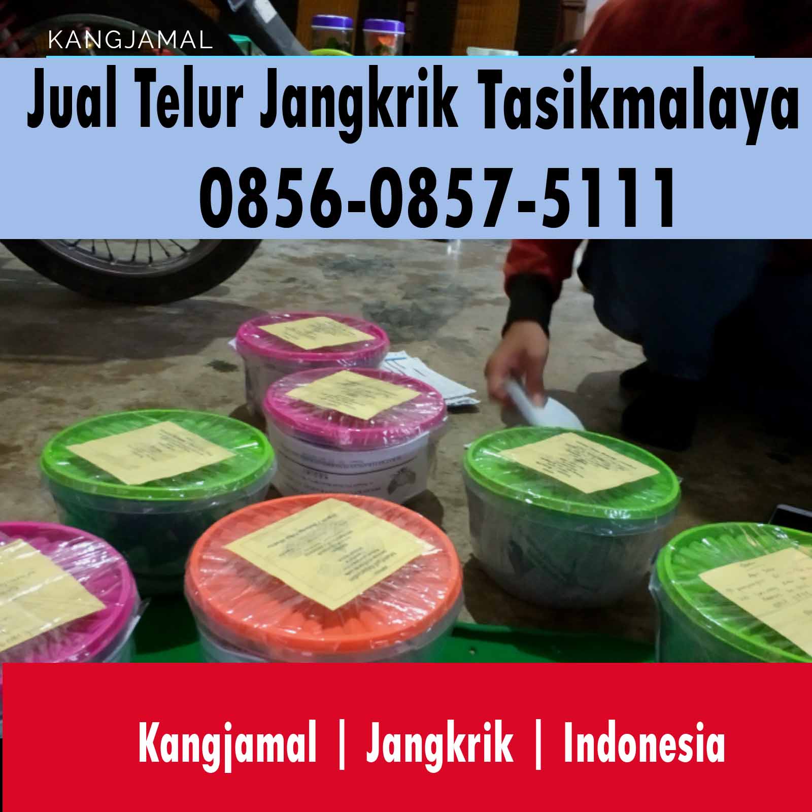 Lirik Lagu Bandar Tasik Malaya - Arsia Lirik