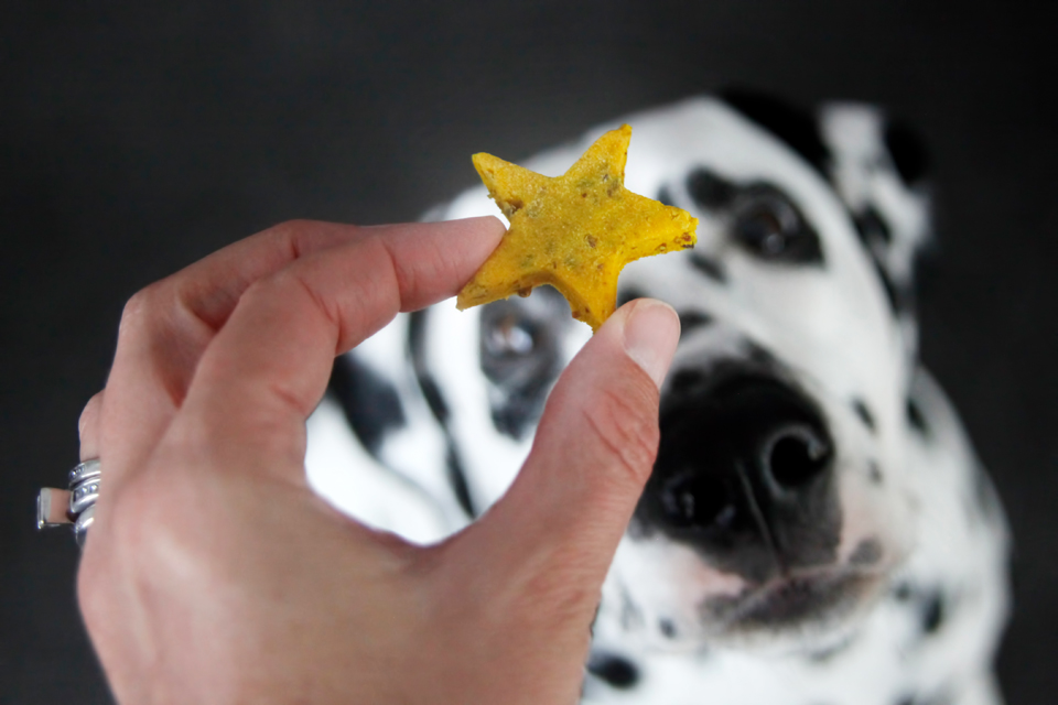 Dalmatian DIY {RECIPE} Naturally Golden Turmeric Star Dog Treats