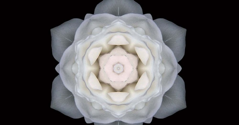 SPOTLIGHT: ‘Path To Wholeness: Fifty-Two Flower Mandalas’ By David J Bookbinder