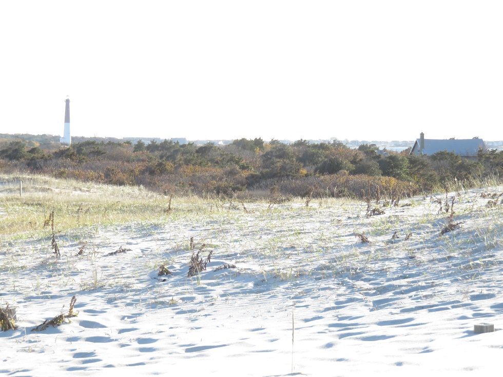 The ShoreXplorers Living the Island Life Jersey Shore Barrier