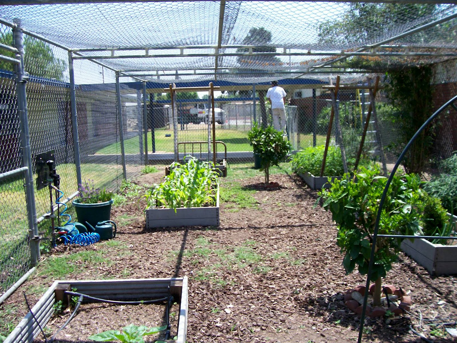 Inland Empire Utilities Agency's Water Education Programs: To Fence or