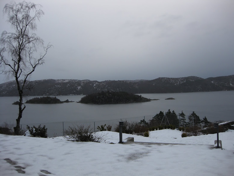 Vinterstemning ved Grønsfjord