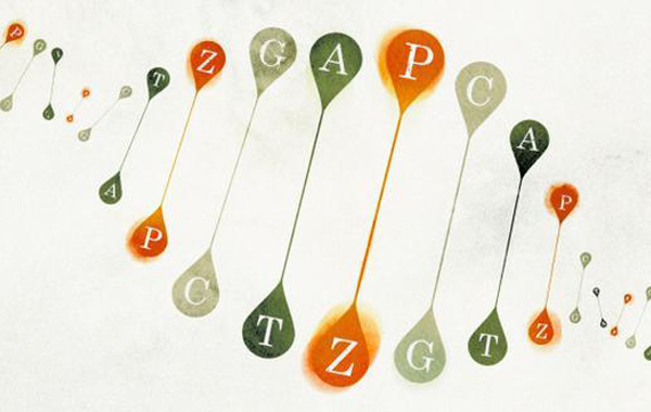 化學家發明新基因字母 擴展生命的自然語言