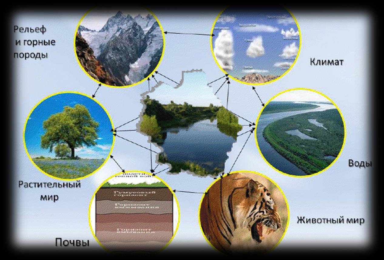 6 природных компонентов. Природные компоненты ландшафта. Схема природного комплекса. Ландшафт природно территориальный комплекс. Компоненты природного комплекса.