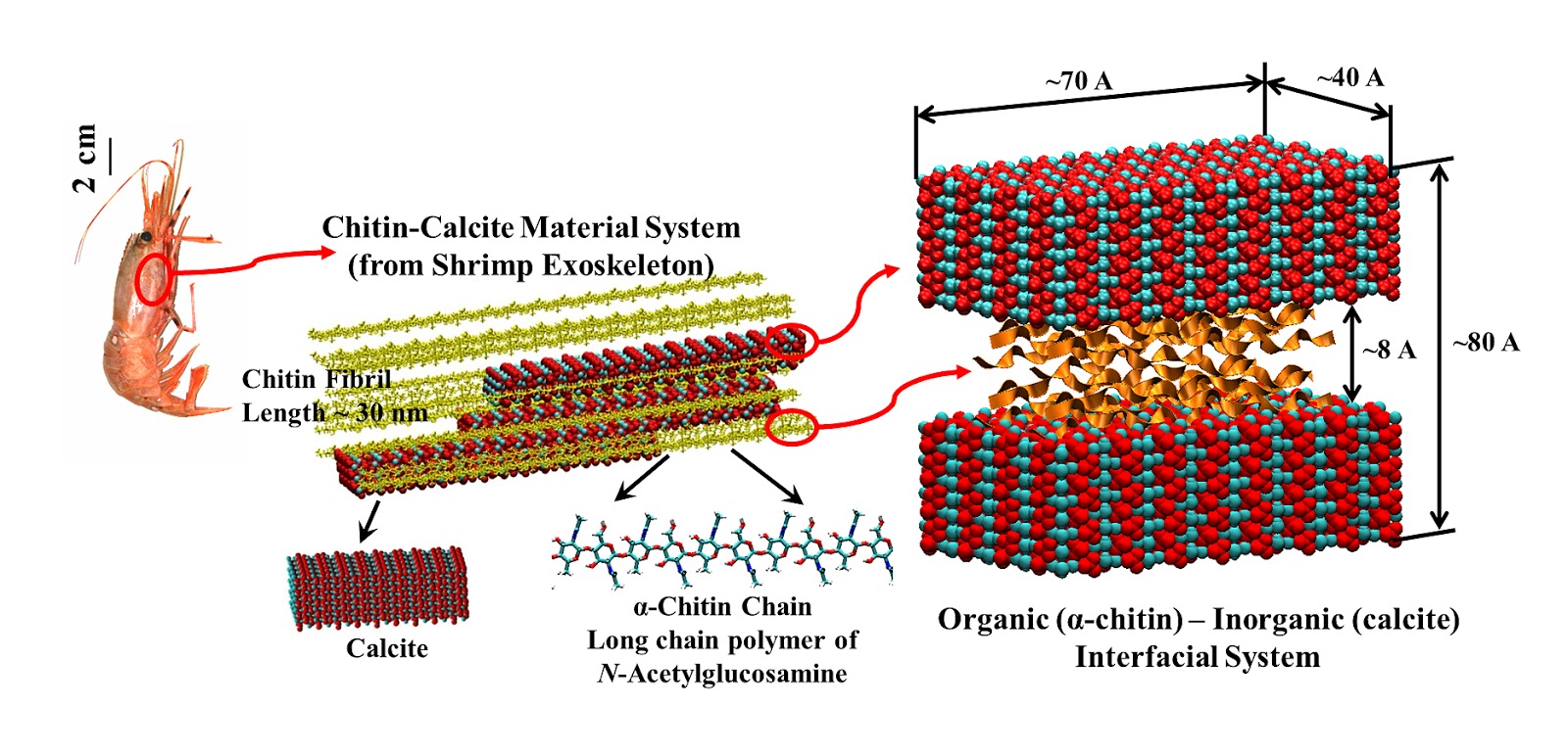 Startup by industry. Material design system. Подвесные транспортные роботы. Хитин. Ui kit дизайн-система material design.