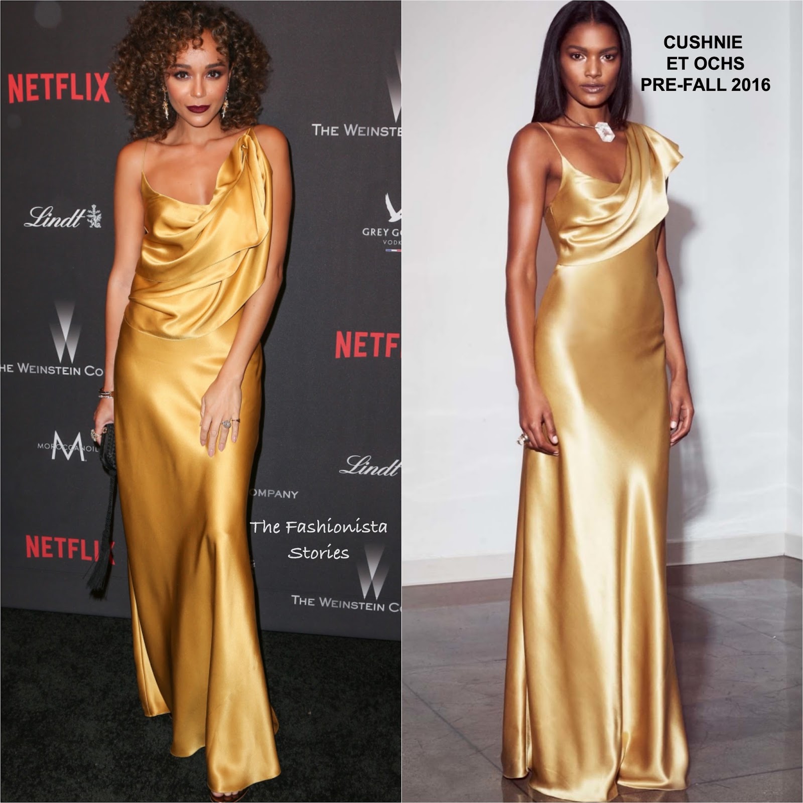 Ashley Madekwe in Cushnie et Ochs at the Weinstein Company & Netflix
