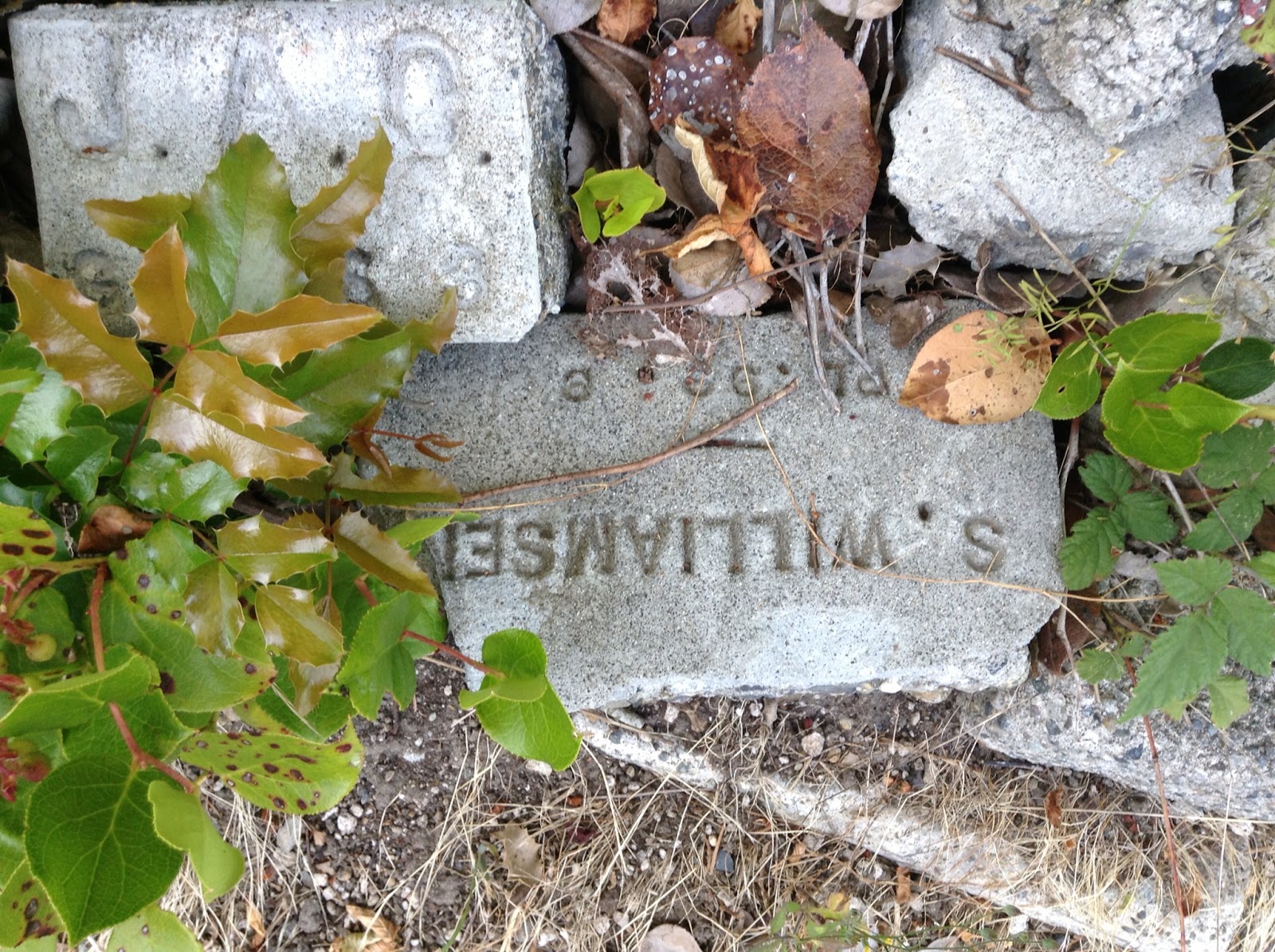 cemeteries i have known and loved: Grave markers in someones garden ...