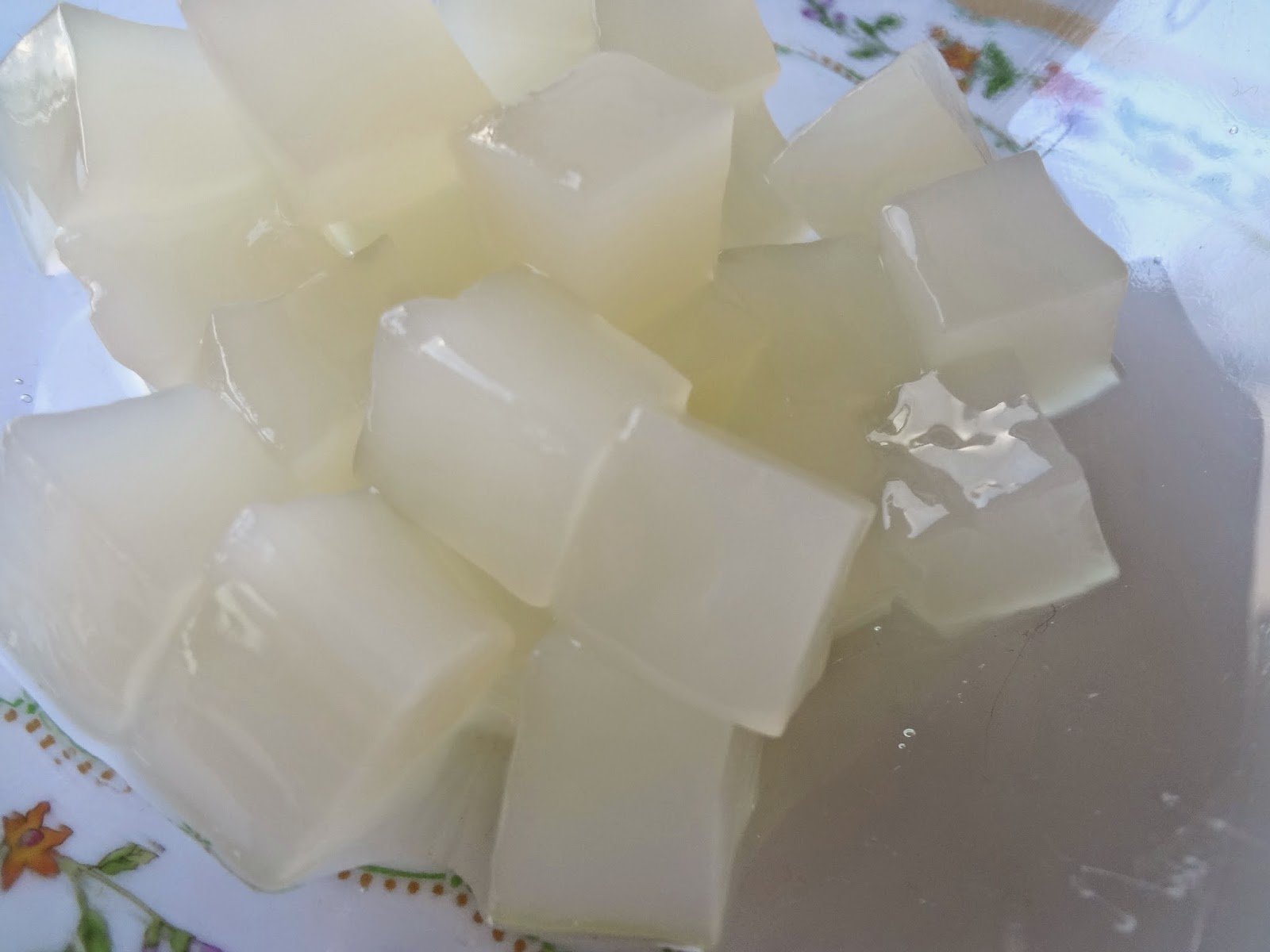Membuat Nata de coco