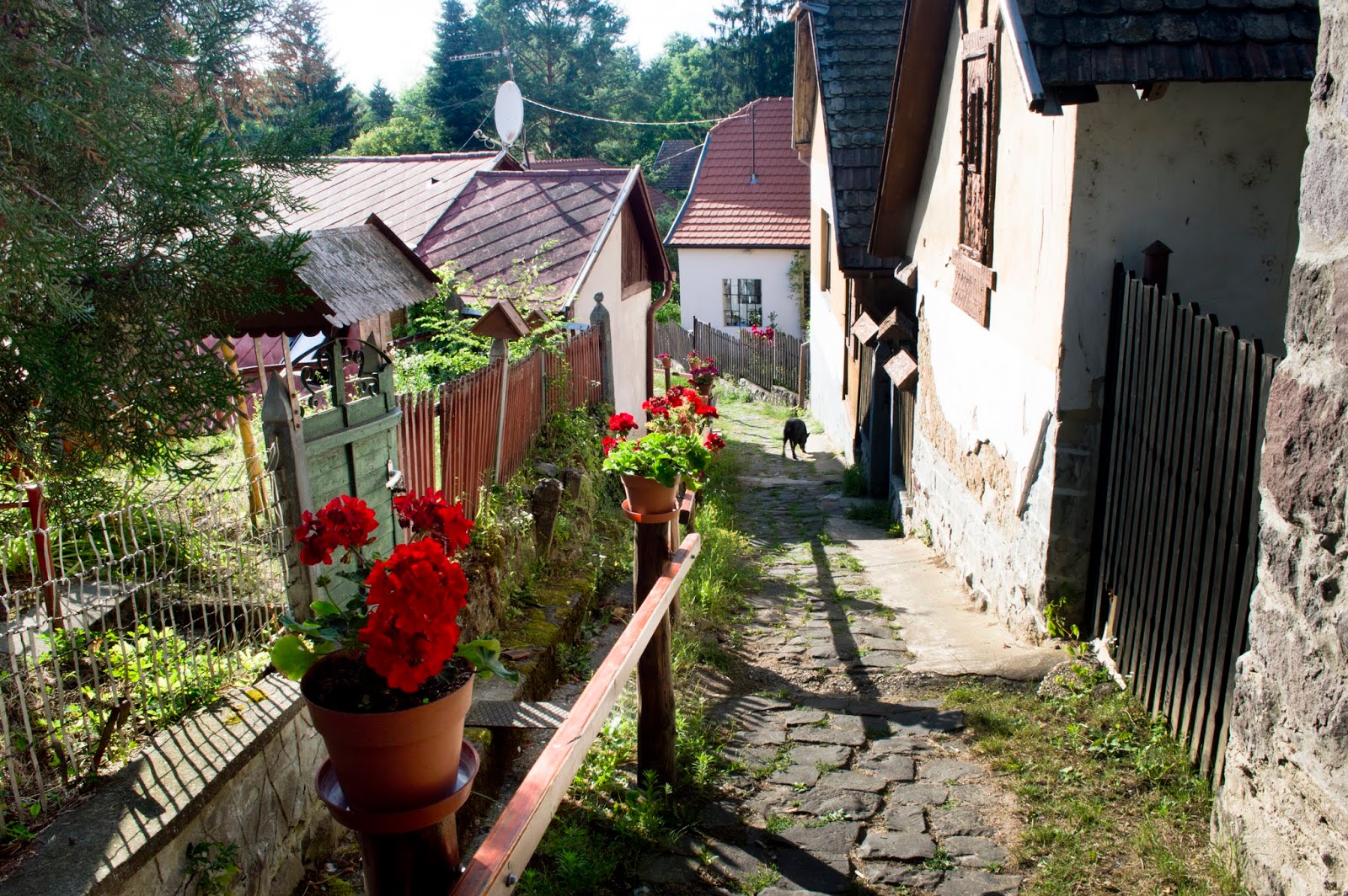 Zebegény, egy elragadó falu a festői Dunakanyarban