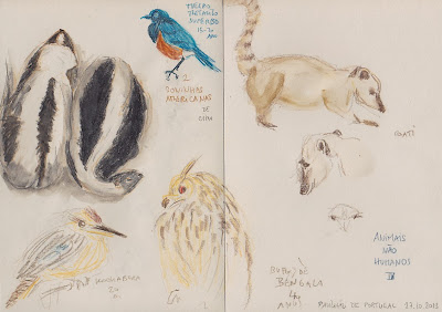 zeroglotte: non-human animals