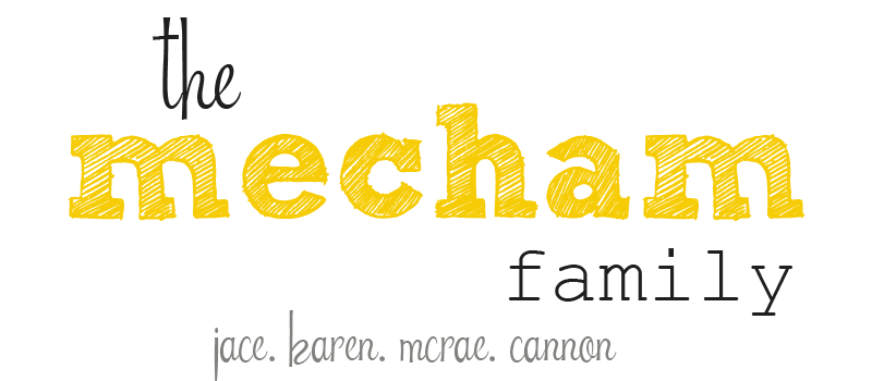 the mecham family