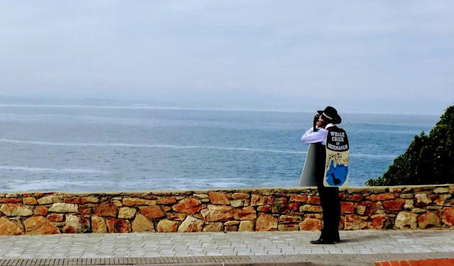 The Whale Crier of Hermanus, South Africa