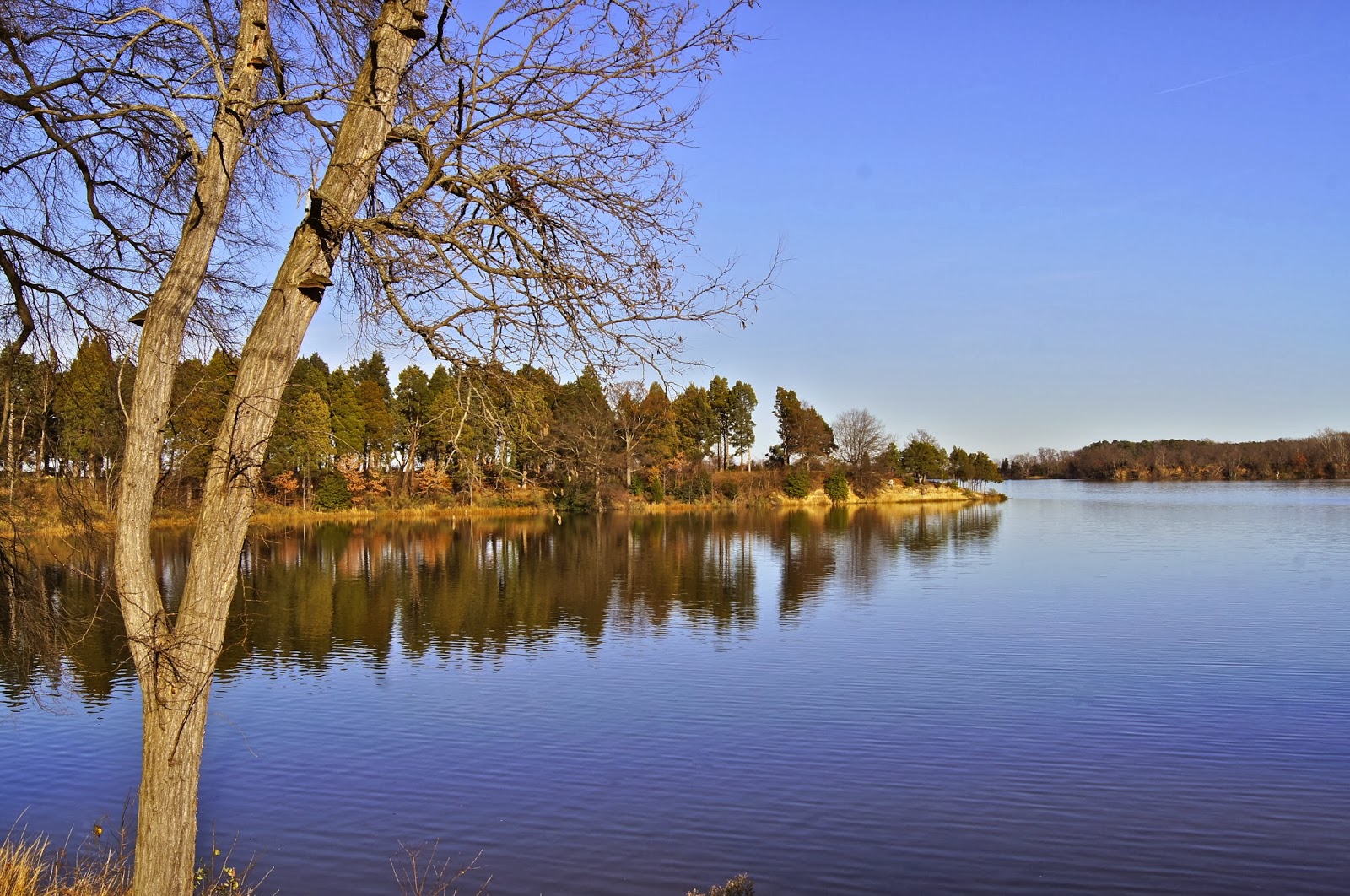the-peyton-book-the-northern-neck-of-virginia