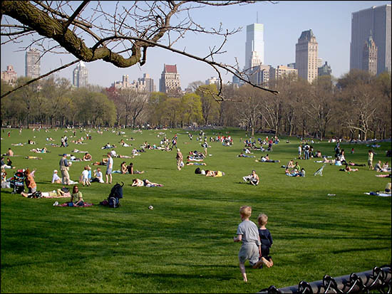 Improve your English » Blog Archive The Met in Central Park - Improve ...