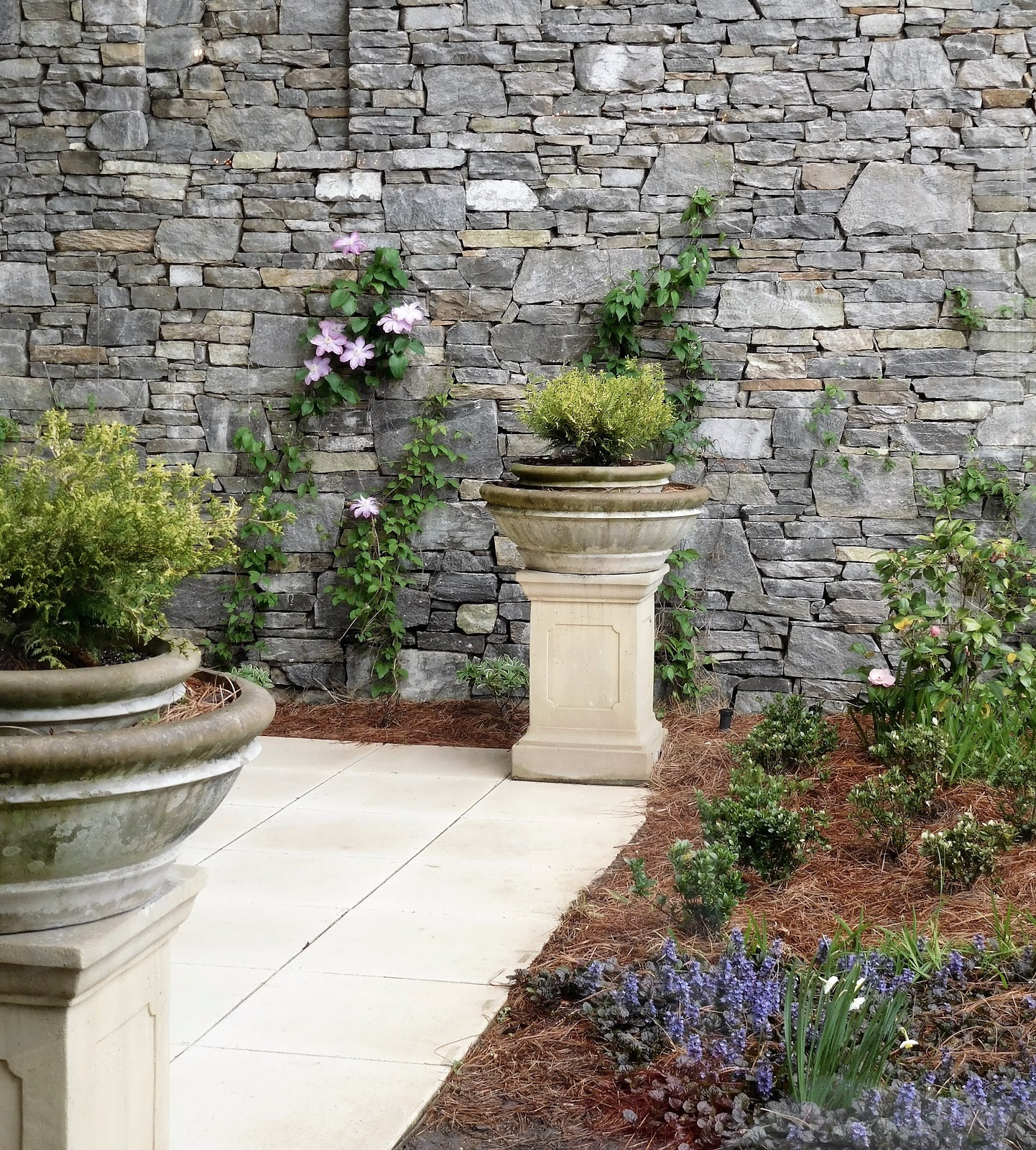 Fifty, not Frumpy: New Jeans