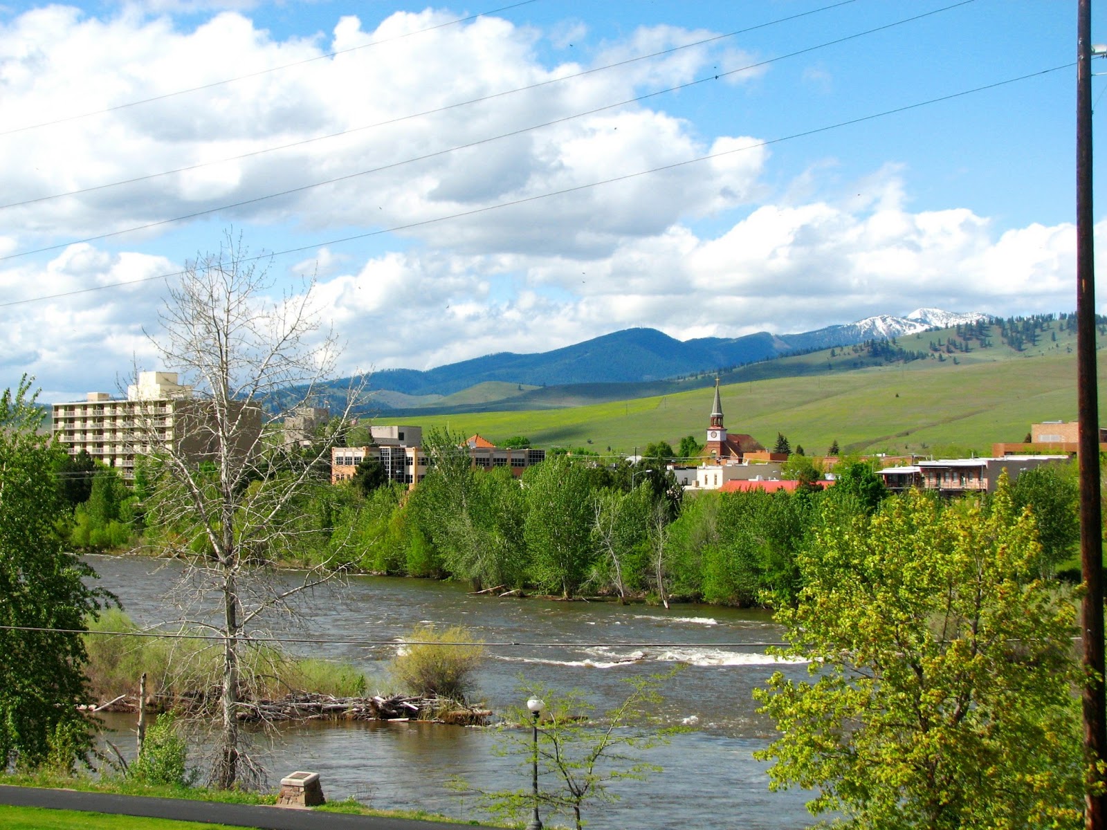 Flora montana Missoula Resources