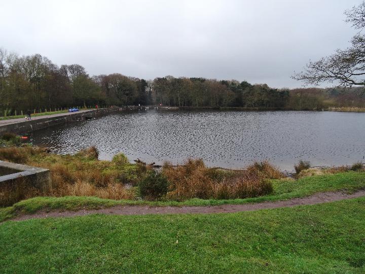 Vinnyman's Birding and Nature Blog.: Sutton Park, North Birmingham.
