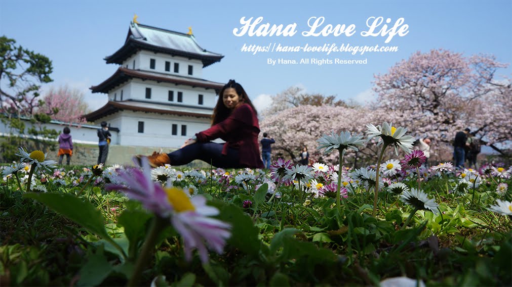 Hana Love Life
