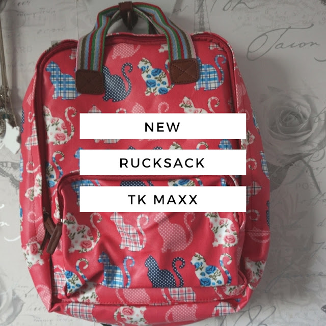 Have Best Cat Print Backpack from TK Maxx