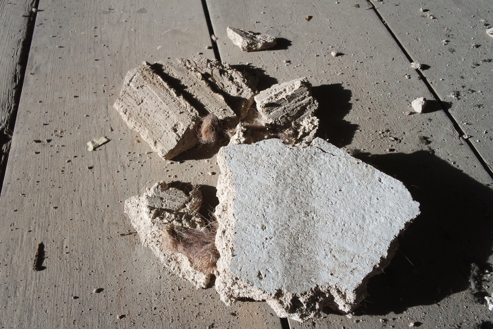 Allerton HouseLife in Eden. Horse hair and plaster dust.