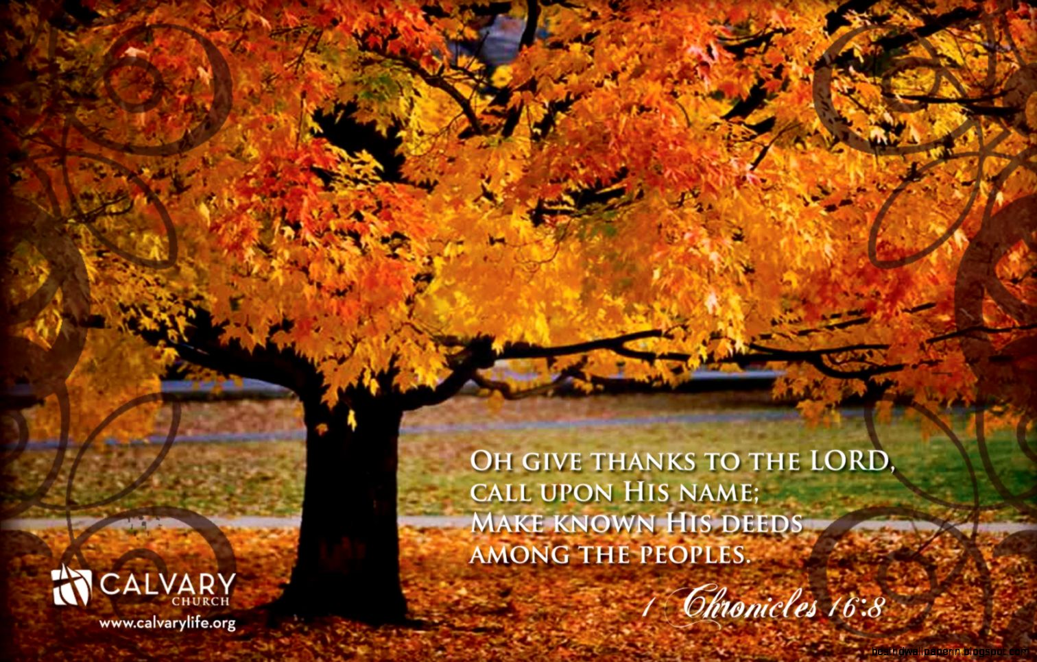 Free Desktop Wallpaper Thanksgiving   All Wallpapers New