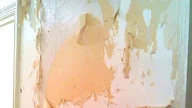 13 Work How To Get Wallpaper Glue Off Latest