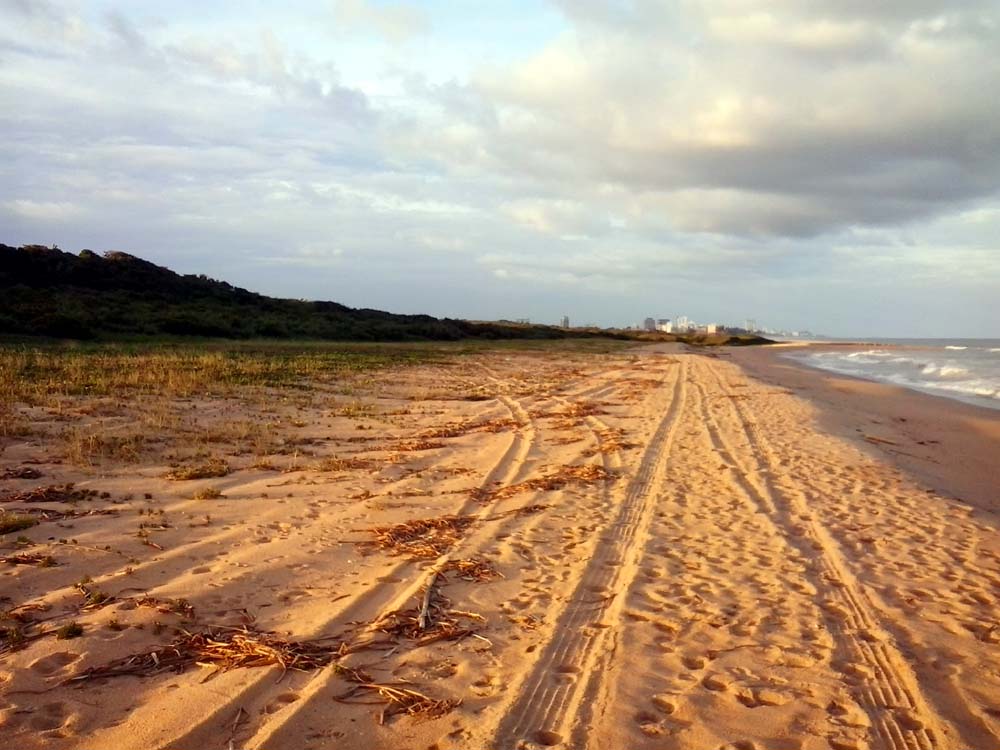 trilhas no rio de janeiro TRILHA
