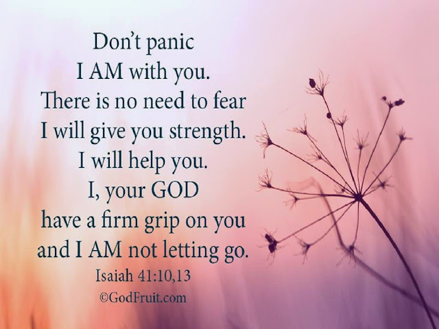 don't panic I am with you. There's is no need to fear I will give you