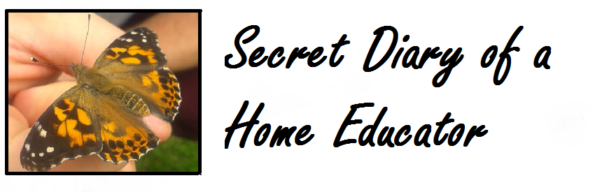Secret Diary of a Home Educator