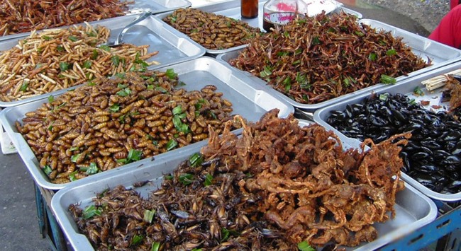 Cambodia most exotic foods, Deep fried insect - Cambodia Legacy