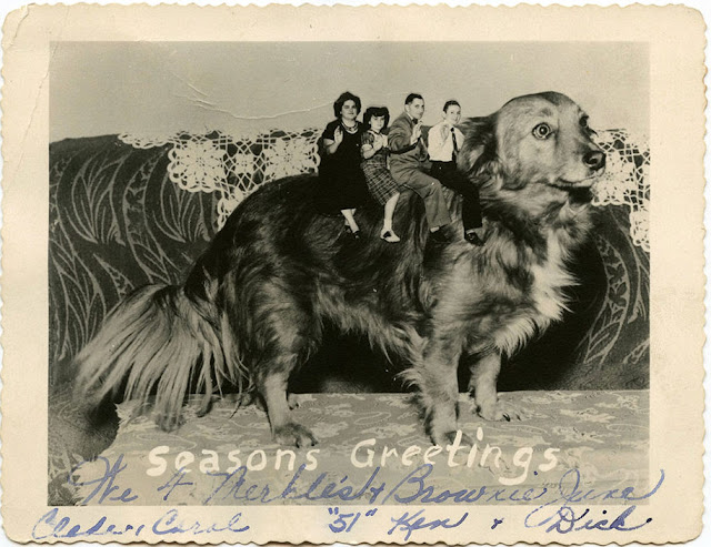 These Bizarre Do It Yourself Family Christmas Cards From