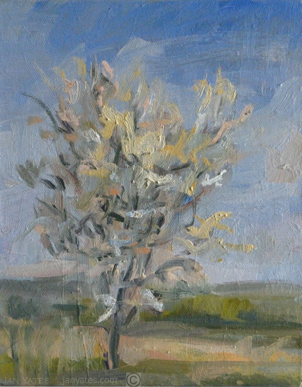 RECENT PAINTINGS & NEWS plein air tree easel