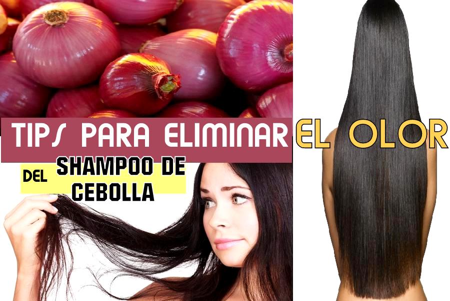Comunidad del cabello largo TIPS PARA ELIMINAR EL OLOR DEL SHAMPOO DE