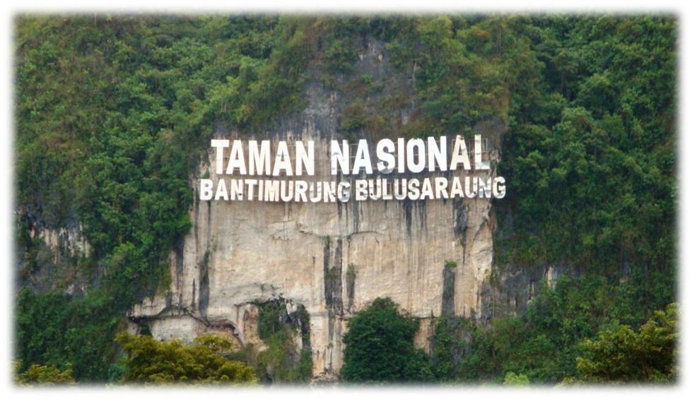 Viewed Beautiful Butterfly Collection Bantimurung National Park In