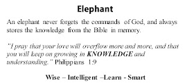 Philippians 1:9 Elephant