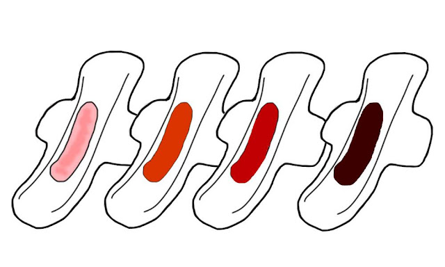 Menstruasi Adalah Hal yang Pasti Dialami Wanita, Berikut Penjelasannya Menstruasi Adalah Hal yang Pasti Dialami Wanita, Berikut Penjelasannya