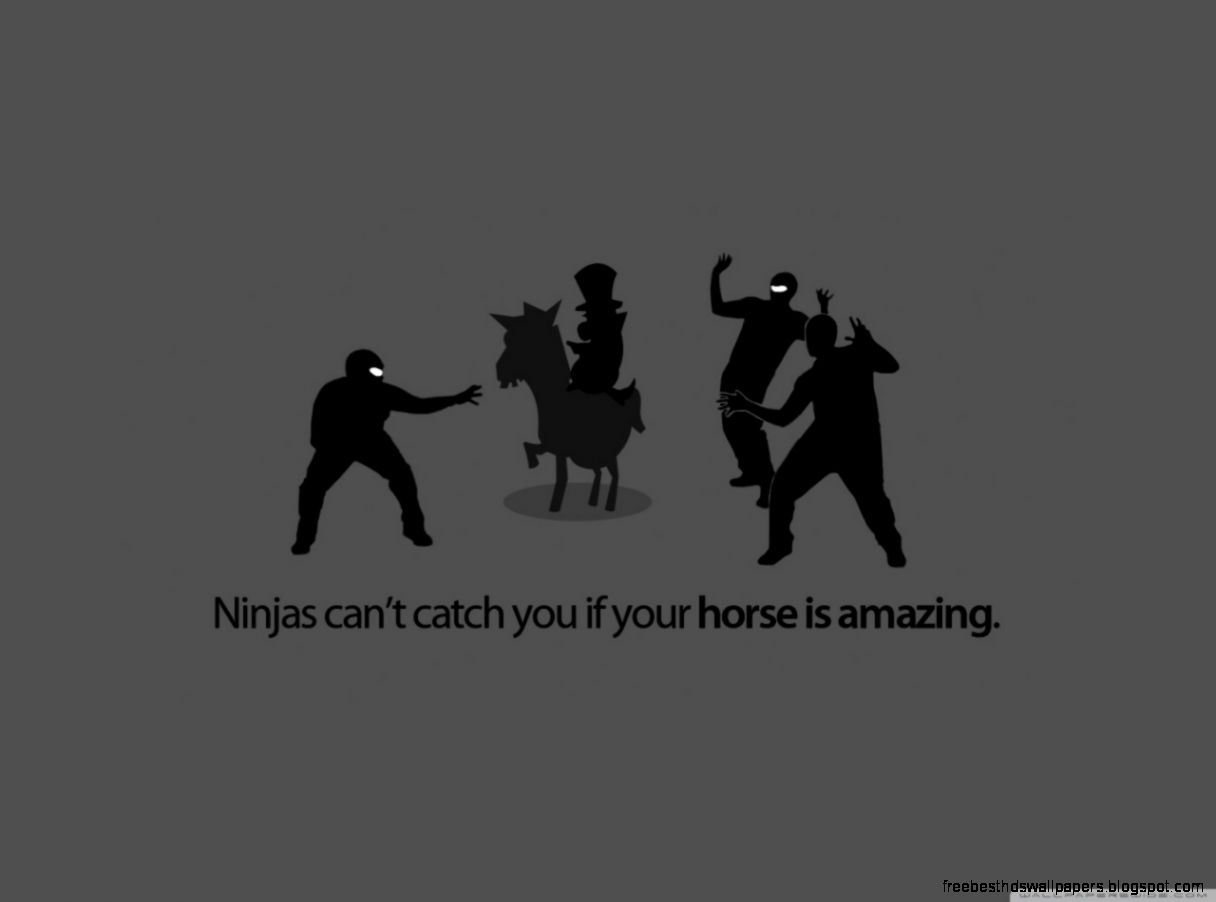 Funny Ninjas HD desktop wallpaper  Widescreen  High Definition