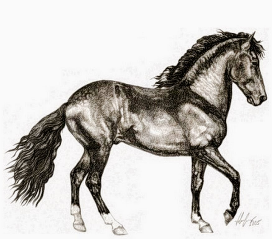 caballos-en-pintura-realista-a-carboncillo