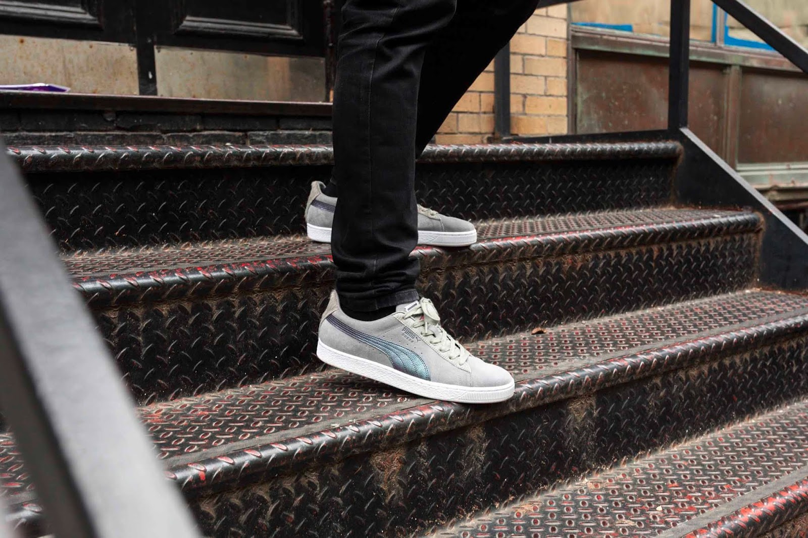 suede classic x pigeon