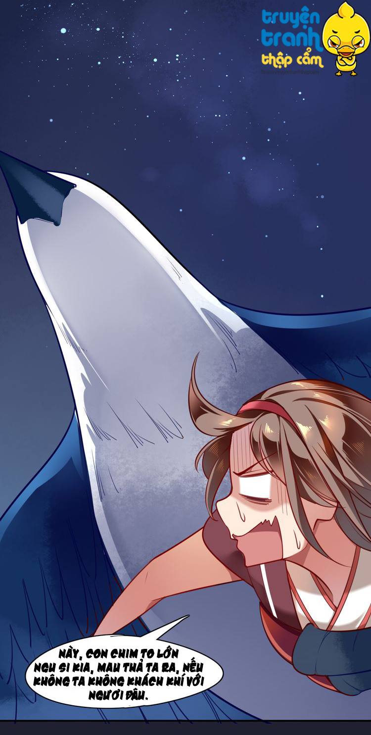 Cẩm Lý Quy Chap 1 - Next Chap 2